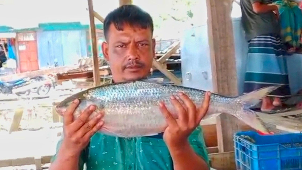 আড়াই কেজির ইলিশ ধরা পড়ল মেঘনায়, ৬৫০০ টাকায় বিক্রি